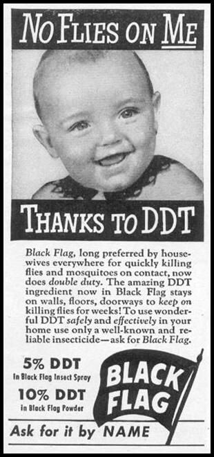 Black Flag DDT